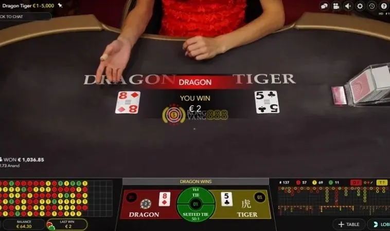 Các cửa cược trong Dragon Tiger tại 8DAY