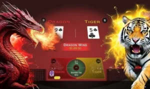 Dragon Tiger tại 8DAY